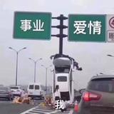 舵手496头像