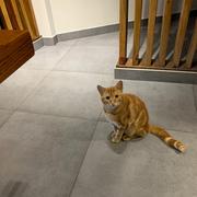 HandsomeLeft的个人资料头像