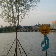 王风的个人资料头像