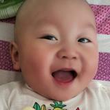 单纯麻酱wHn头像