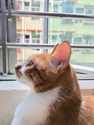 Demonls的个人资料头像