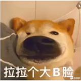 芒果借我咬一口头像