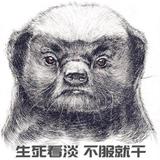 心软夺人命头像