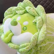 我是晴天的个人资料头像
