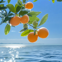 微笑喜鹊wS8头像