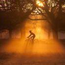 mertef的个人资料头像