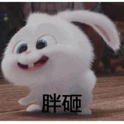 梦若的个人资料头像