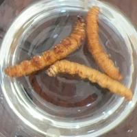 灿烂漂流瓶12G头像