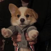 AJiia的个人资料头像