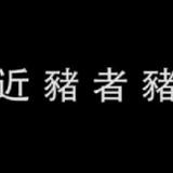 765唯惟妙唯俏头像