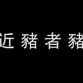 765唯惟妙唯俏头像