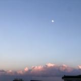 楼兰半生雪头像