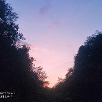 机智的星星kHt头像