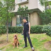 写代码阿伦的个人资料头像