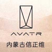 老马6子头像