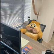 东西wave的个人资料头像