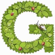 tangjialang的个人资料头像