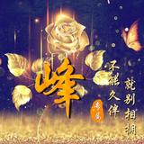 致命的灬执着头像