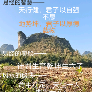 命运风水易文化头像