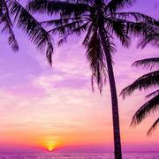 小桥流水793的个人资料头像