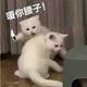 tia涎宝 · 长安UNI-V车主·车龄2年头像