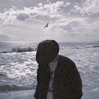 儒雅原野sLs头像