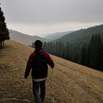 蜂鸟可可西里头像