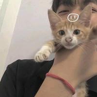 ✧⁺画地为牢囚你心 ✧⁺头像