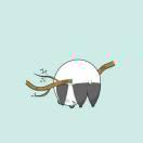 朝夕君的个人资料头像