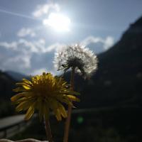 且听风吟6125头像