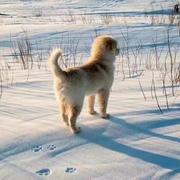 记昨日书768的个人资料头像