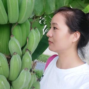黛黛在柬埔寨头像