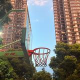 机智的咖啡ev6头像