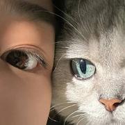 Aenn的个人资料头像