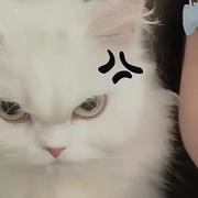梦想无bug的个人资料头像