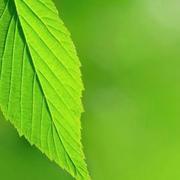 大海高山的个人资料头像