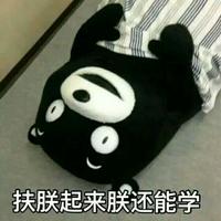 我读春秋的445头像