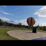 上进的明月IFh头像