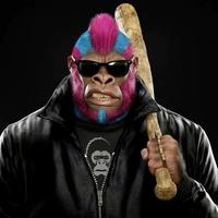 范德莱耀西V58头像