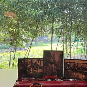 吱吱唔头像