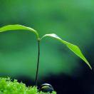 tigger的个人资料头像