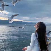 尐不点的个人资料头像