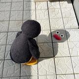Jsonggggggg头像