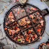 香香的朵儿头像