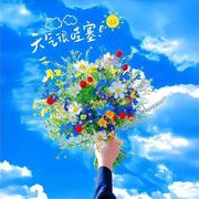 阮先涛的个人资料头像