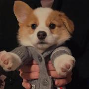 Martian的个人资料头像