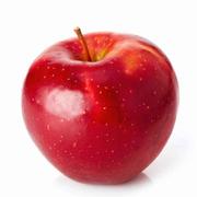 果树fruiter的个人资料头像