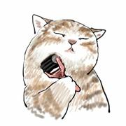 用户5435369492861的个人资料头像