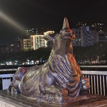 张先生的紫罗兰头像
