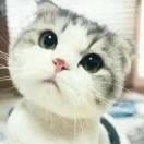 生而无畏的个人资料头像